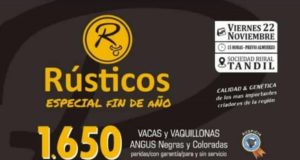 Mondino anuncia dos remates para lo que resta de noviembre