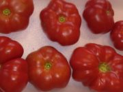 12 tomates recuperados lideran el ranking de los más sabrosos