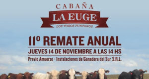 Ganadera del Sur remata este jueves en San Luis 50 toros Hereford y Angus de Cabaña «La Euge»