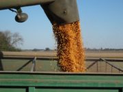 La Asociación Agrícola Ganadera de Justo Daract fijó posición sobre los derechos de exportación