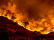 Cierra una década de valores excepcionales de calor