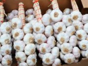 El ajo de Mendoza espera mejora de precio en el mercado brasileño