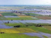 Glifosato más arsénico del agua, una mezcla que enferma