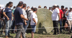Las posibilidades que abre la alfalfa, desde la mirada de Mario Funes