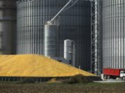Desde lo climático y productivo 2019 fue un buen año
