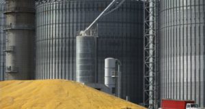 En el 2020 ingresarían U$S 26.300 millones por exportaciones de agroindustria