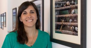 Científicos de San Luis desarrollan una tecnología que elimina toxicidad del aire
