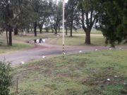 Precipitaciones en toda la provincia de San Luis