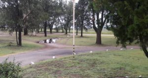 Precipitaciones en toda la provincia de San Luis