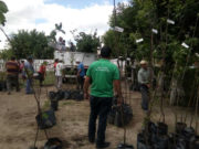 Productores de Chacabuco recibieron frutales y semillas para aumentar su producción frutihortícola