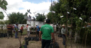 Productores de Chacabuco recibieron frutales y semillas para aumentar su producción frutihortícola