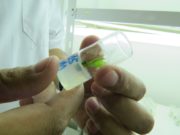 Predicen cómo serán los duraznos al nacer