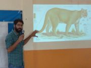 La conflictiva relación entre el puma y los productores caprinos.