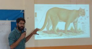 La conflictiva relación entre el puma y los productores caprinos.