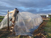 Nueva pasantía de estudiantes y agricultores familiares, esta vez en Villa Mercedes