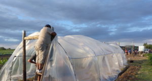 Nueva pasantía de estudiantes y agricultores familiares, esta vez en Villa Mercedes