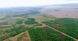 Casi el 90% de la superficie de la provincia de San Luis tiene uso agropecuario