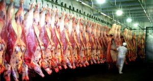 Mercado de la carne: especulaciones por aumentos, retenciones, faena y producción