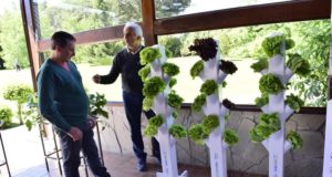 Villa Mercedes: ofrecen un curso de entrenamiento intensivo de hidroponía