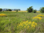 El mercado inmobiliario rural cerró el 2019 con el peor mes en 6 años