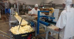 Se podría perder un mercado de 50 millones de dólares en exportaciones por las retenciones al sebo y harina de carne y hueso