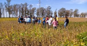 Revés de Bayer en la Justicia por patentes de gen