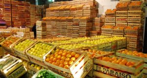 El consumidor pagó en diciembre 5,11 veces más respecto del productor