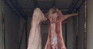 Senasa decomisó más de 2 mil kilos de carne de cerdo en Santa Fe