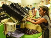 El gobierno «congeló» el Mínimo No Imponible para pymes de economías regionales
