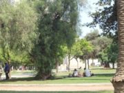 Cooperativistas reafirman su compromiso con el medio ambiente