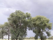 No hubo uniformidad en las lluvias registradas en la provincia de San Luis