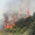 81214657_2728546853869170_4690042650156335104_o