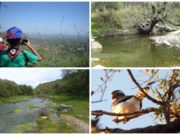 Cambio de horarios de visita en las áreas naturales protegidas de San Luis