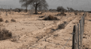 El noroeste de San Luis lleva once meses bajo una implacable sequía