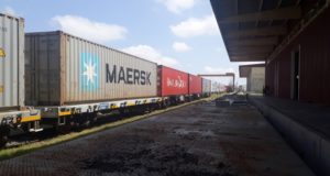 San Luis: nuevo despacho para exportación con 1.600 toneladas de alfalfa