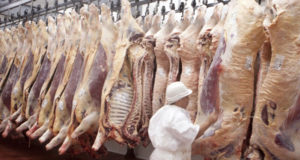 Carne vacuna: aumento de la faena en diciembre y récord histórico de exportaciones en 2019