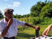 Monitoreos: Senasa asegura que no encontró focos de langosta en la provincia San Luis