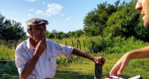 Monitoreos: Senasa asegura que no encontró focos de langosta en la provincia San Luis
