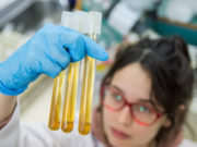 Producen nanocápsulas de plantas aromáticas para conservar alimentos