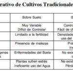 04 – 02 – hidroponia – cuadro analisis comparativos de cultivos