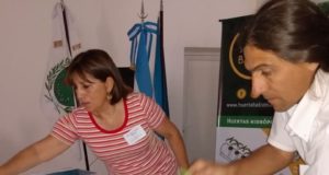 Hidroponía, sus ventajas y desventajas