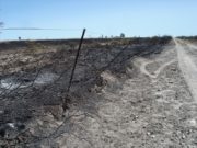 Incendios afectaron 32 mil hectáreas en Río Negro