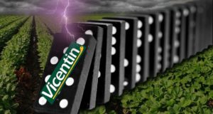 Vicentin es el mayor default de una empresa en 18 años
