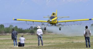 Qué dice un informe internacional sobre uso de agroquímicos en Argentina