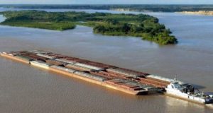 Comercialización de soja y maíz por encima del promedio de los últimos cinco años