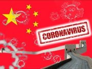 Por el coronavirus sacrifican 100 millones de pollos en China