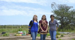 El vivero municipal de Villa Mercedes empezó con la producción de verdura
