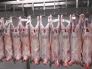 China abrió su mercado a la carne ovina patagónica de la Argentina