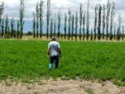 San Luis Agua abrió el plazo para presentar intenciones de siembra y censo de cultivo otoño-invernal