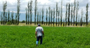 San Luis Agua abrió el plazo para presentar intenciones de siembra y censo de cultivo otoño-invernal